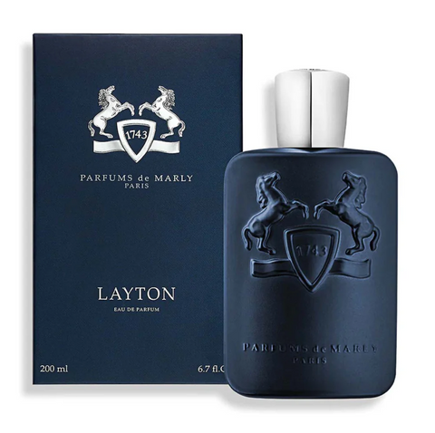 Layton PDML foto
