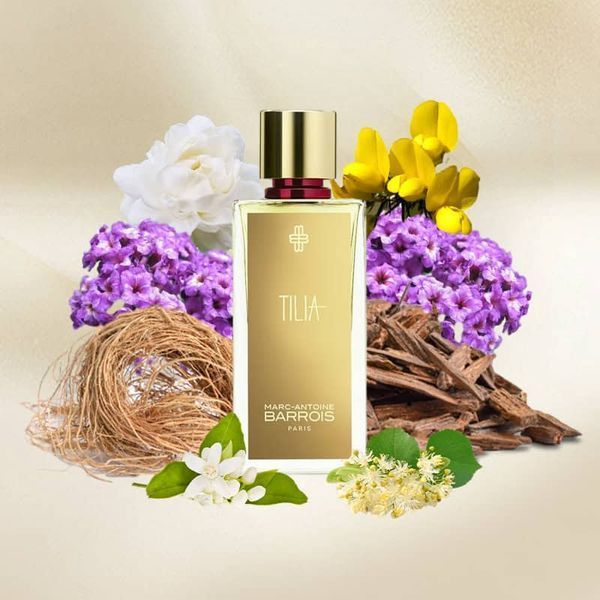 Tilia MBTLA foto
