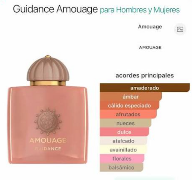 Guidance AMGDN foto