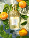 Aqua Allegoria Mandarine Basilic GRAAMB foto 4